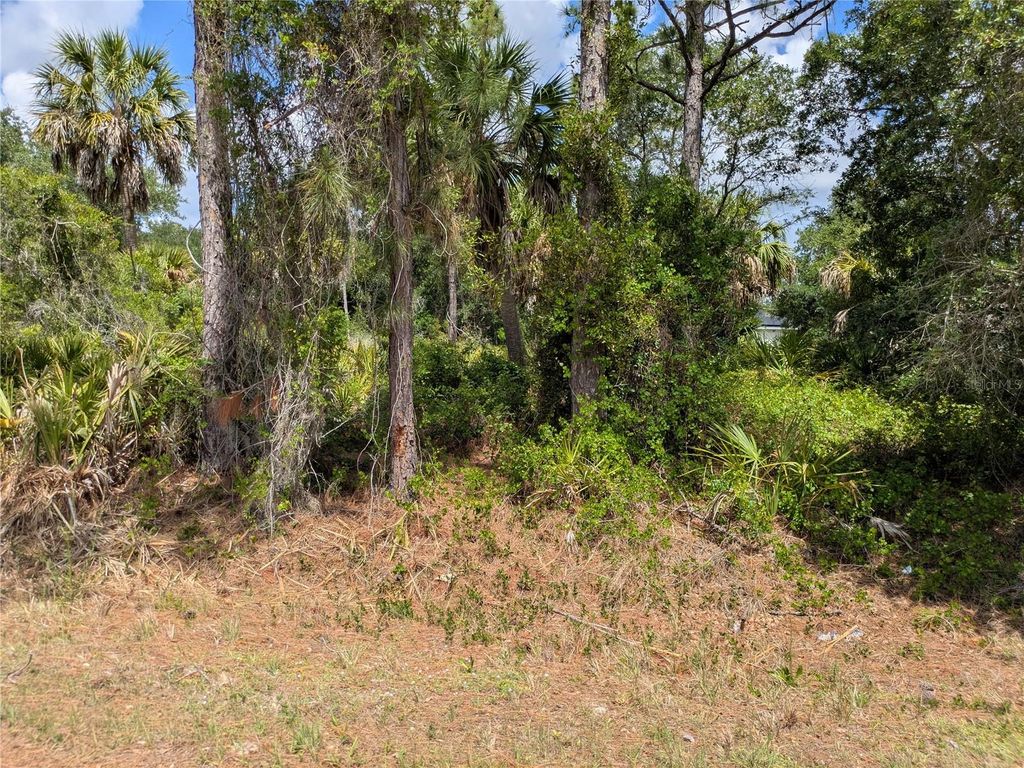Photo of Delight Avenue, North Port, FL 34288 (MLS # C7525804)