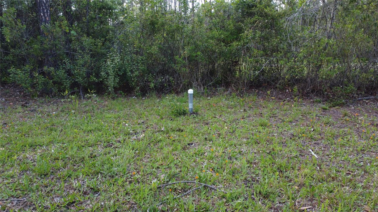 FLAGLER ESTATES 575 - Land