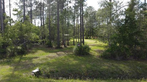 Photo of 10205 Baylor Avenue, Hastings, FL 32145 (MLS # FC317754)