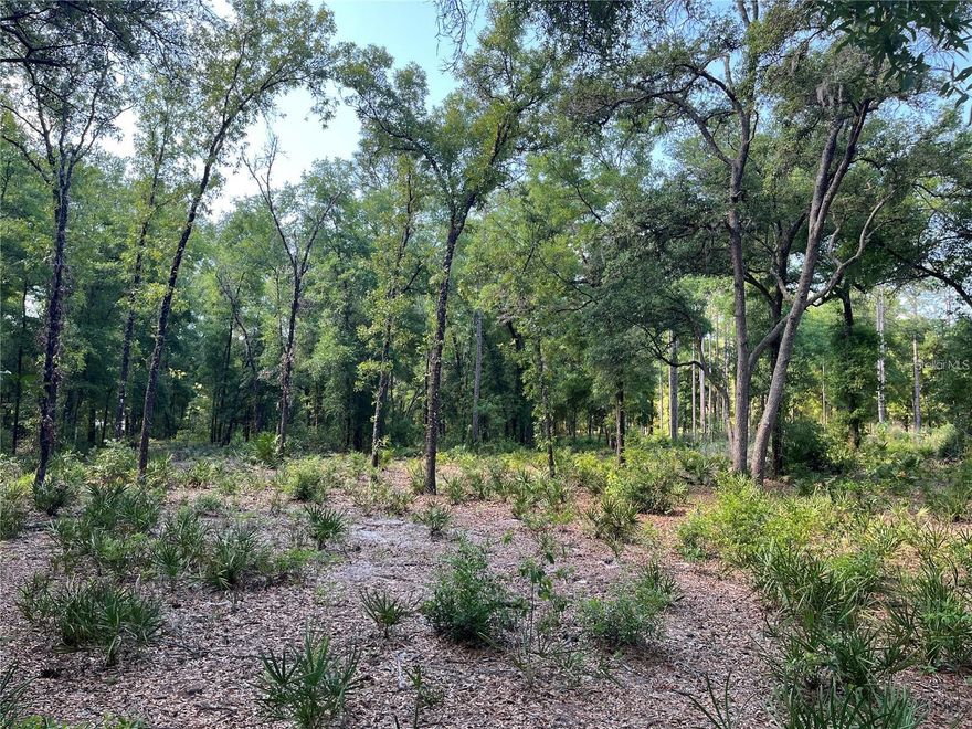 Under contract-accepting backup offers. 1.25-acre lot in Florida Highlands, Dunnellon! Zoned A1, allowing site-built, manufactured, or mobile homes. No HOA restrictions — enjoy the freedom to build and use your land your way. Bring your animals, as agricultural use is permitted. Electric available nearby; well and septic needed. Peaceful country setting with convenient access to Ocala, Rainbow River, and major highways. Great opportunity to build or invest!