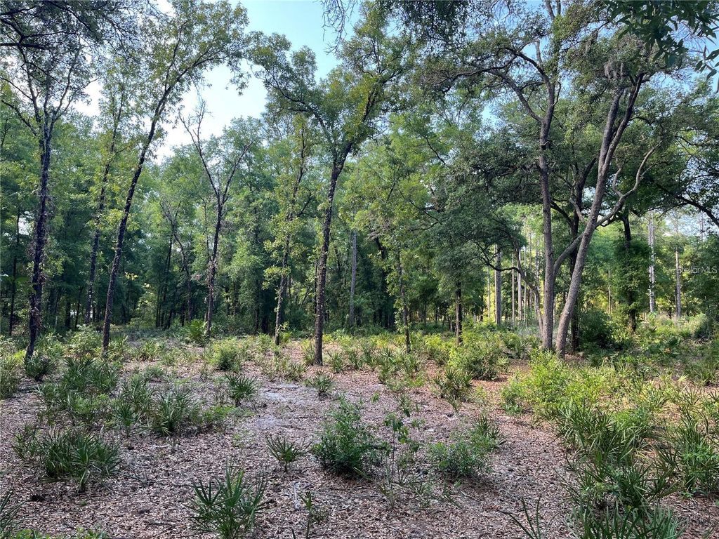 Photo of 9000 SW 151st Place, Dunnellon, FL 34432 (MLS # OM719612)