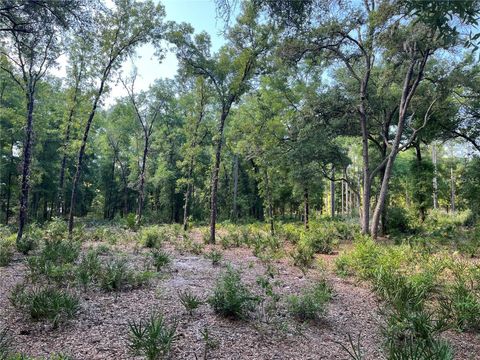 SW 151ST PLACE DUNNELLON FL 34432