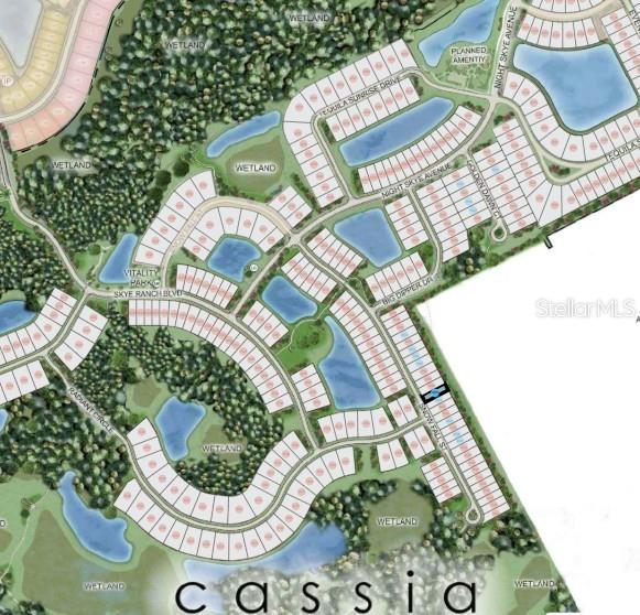 CASSIA AT SKYE RANCH - Residential