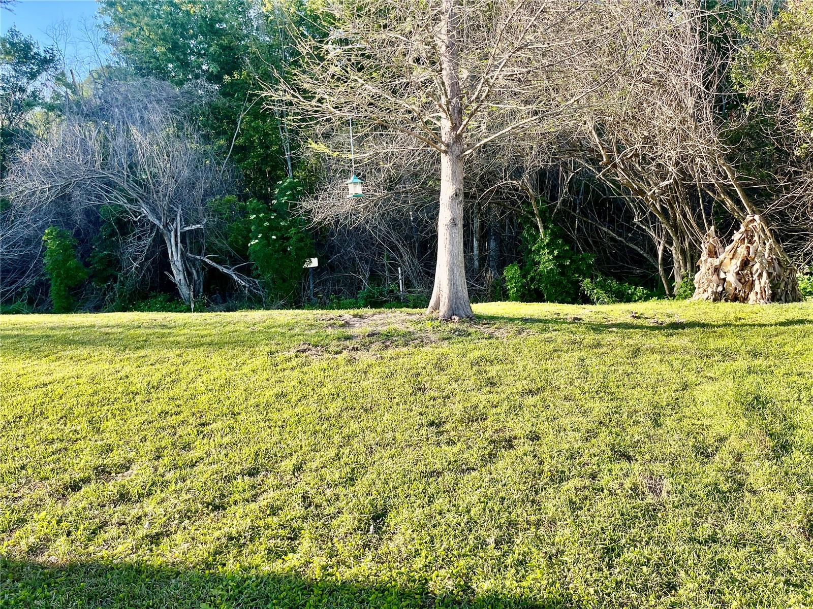 SHINGLE CRK RESERVE/OAKS - Residential