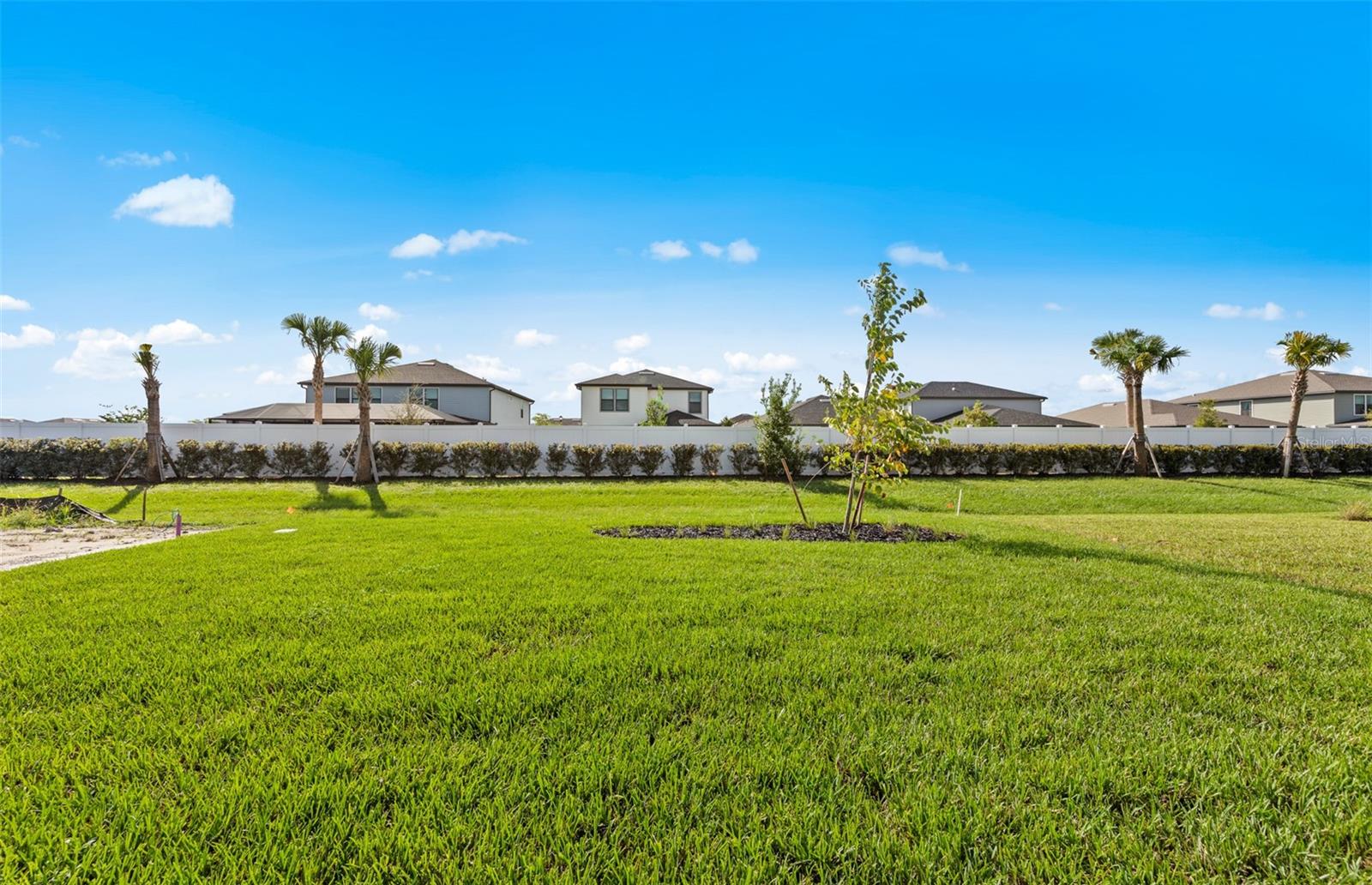 3458 - STRAND AT CEDAR GROVE - Residential