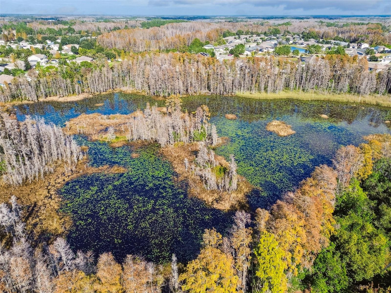 LAKESHORE RANCH PH I - Residential