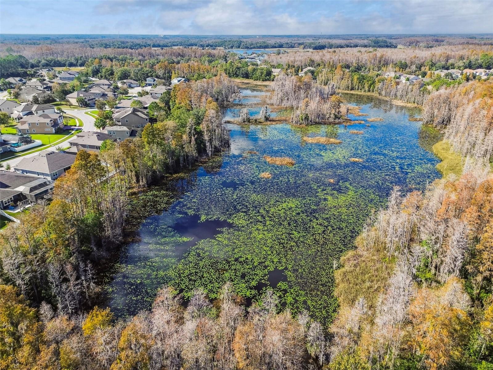 LAKESHORE RANCH PH I - Residential