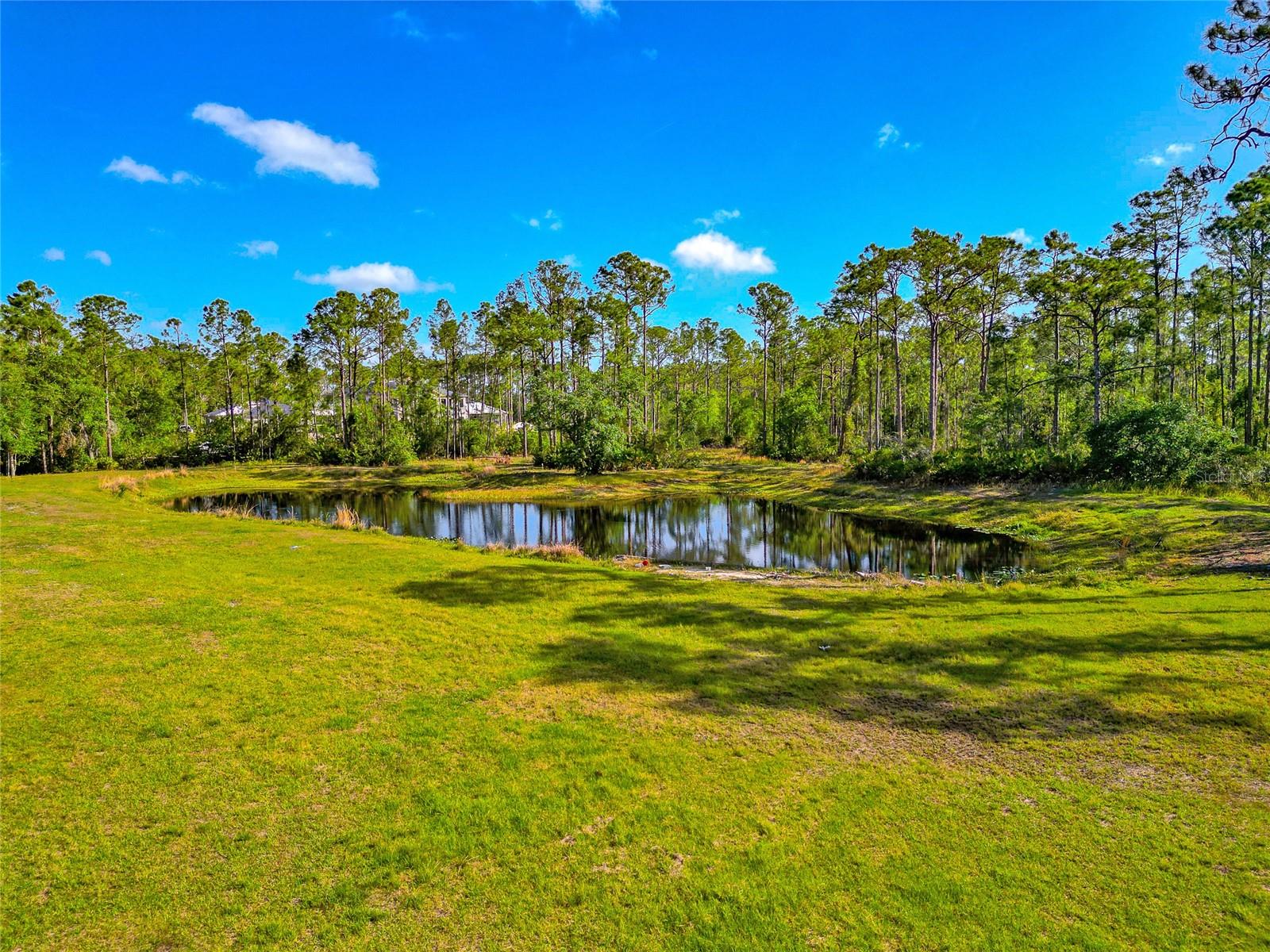 PANTHER RIDGE - Residential