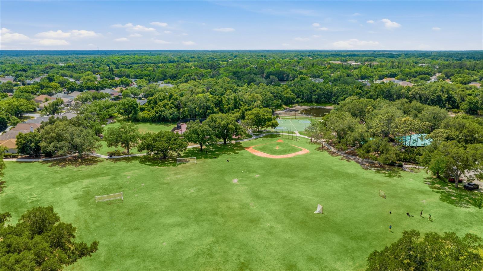 SUMMERFIELD HOLLOW CONDO PH III - Residential