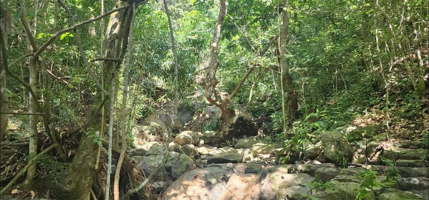 Lot #4. Land with partial ocean views and incredible sunsets. Mixed terrain with both mountainous and flat areas, featuring a beautiful spring where you can experience a peaceful retreat.