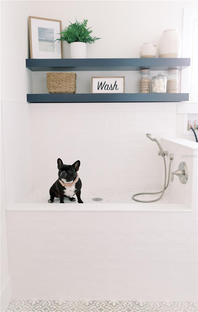 BUENA VISTA SHORES - Residential