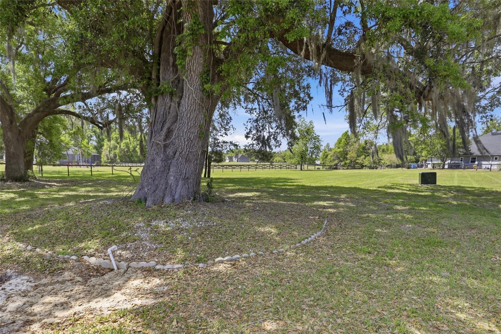 CINNAMON HILLS ESTATES PH 3 - Residential