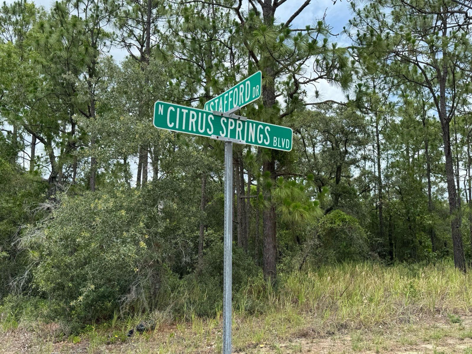 CITRUS SPGS UNIT 03 - Land