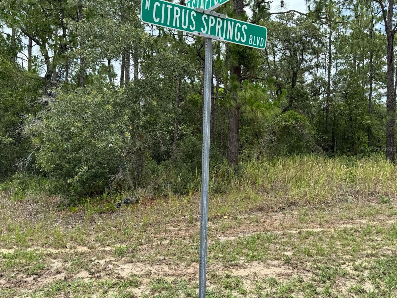 CITRUS SPGS UNIT 03 - Land