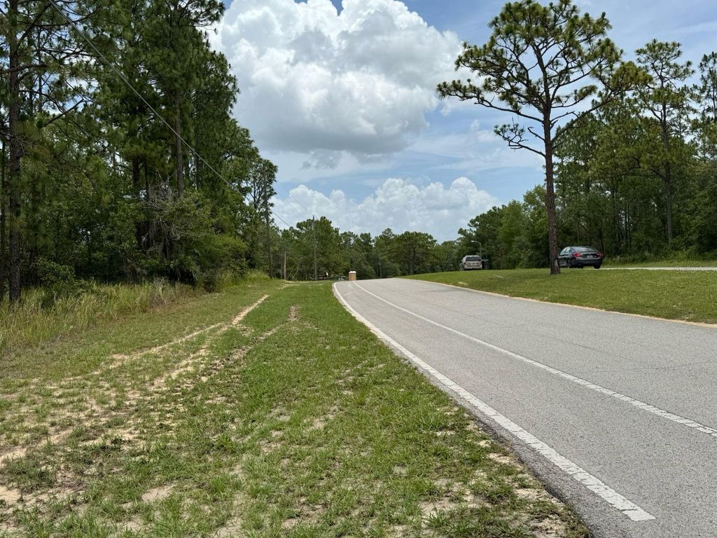 Photo of 9391 N Stafford Drive, Citrus Springs, FL 34433 (MLS # O6385801)