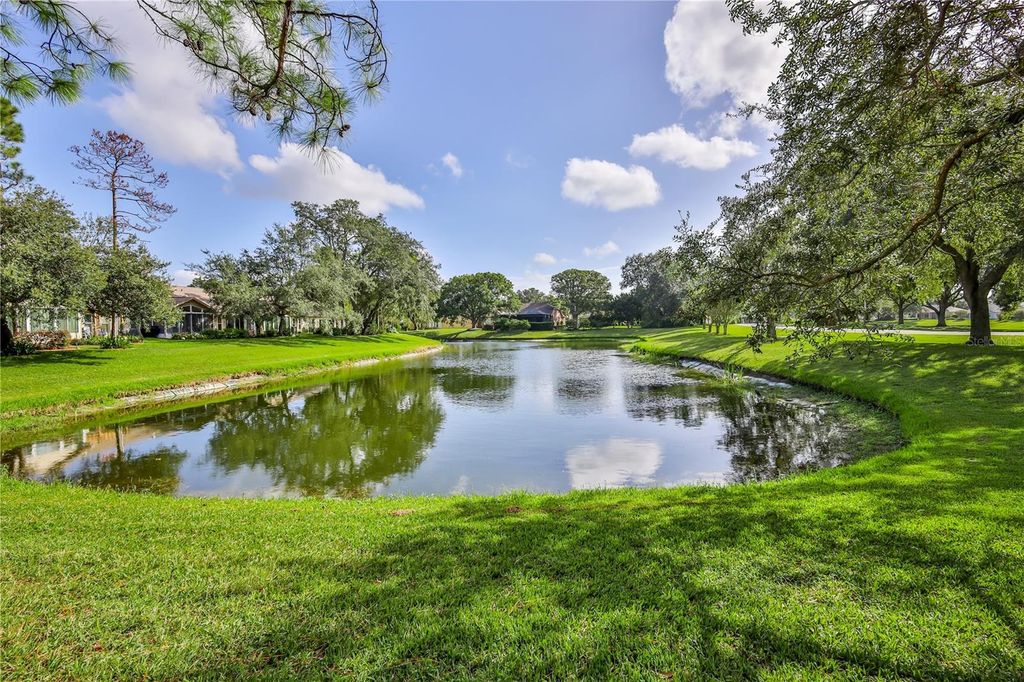 Photo of 3213 Appleblossom Trail, Spring Hill, FL 34606 (MLS # W7879489)