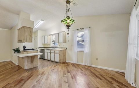 Tiny photo for 304 Brigadoon Circle, Leesburg, FL 34788 (MLS # O6426786)
