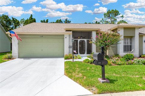 11148 HOLLANDER AVENUE HUDSON FL 34667