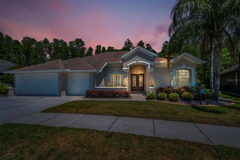 Photo of 15229 Wind Whisper Dr, Odessa, FL 33556 (MLS # TB8376110)