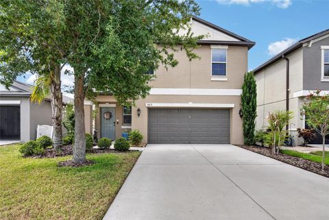 10211 AMAZING GRACE AVENUE RIVERVIEW FL 33578