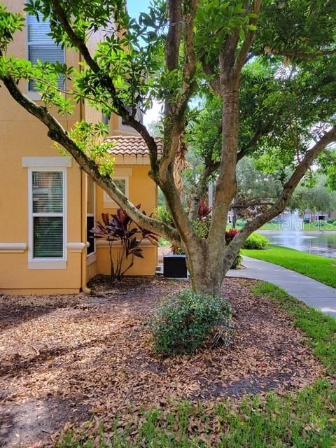 A home in ORLANDO