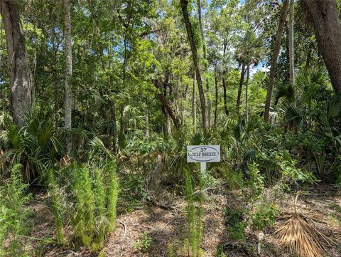 13159 W GULF SHORES STREET INGLIS FL 34449