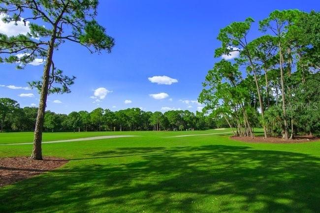 PINEBROOK HOLLOW - Residential Lease