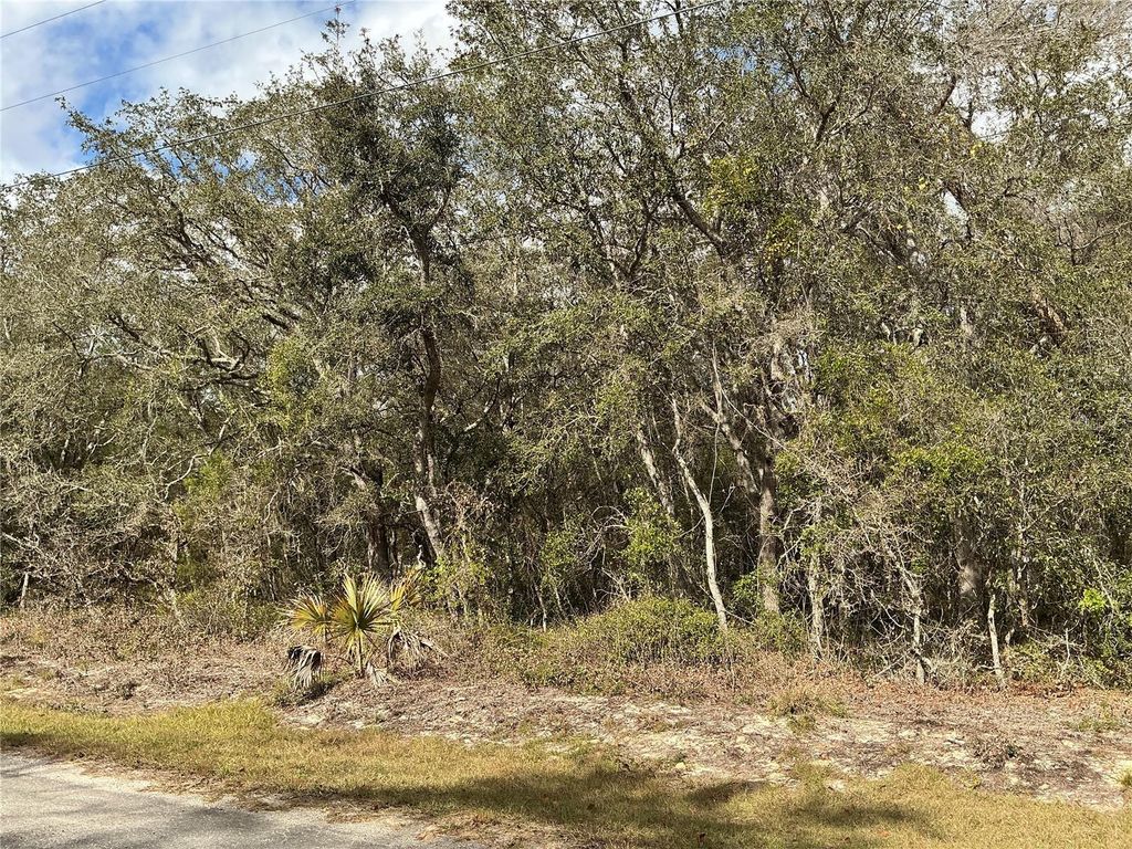 Photo of 8 Fisher Trace, Ocklawaha, FL 32179 (MLS # OM717229)
