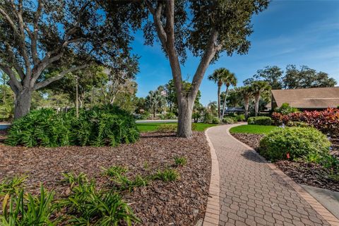 A home in PALM HARBOR