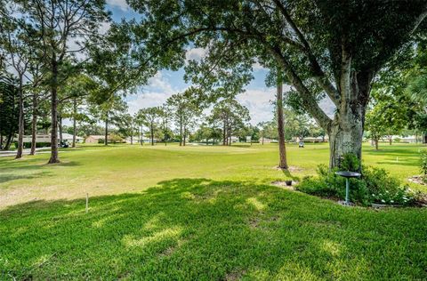 A home in PALM HARBOR