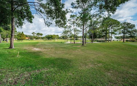 A home in PALM HARBOR