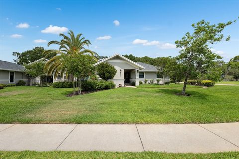 A home in TARPON SPRINGS