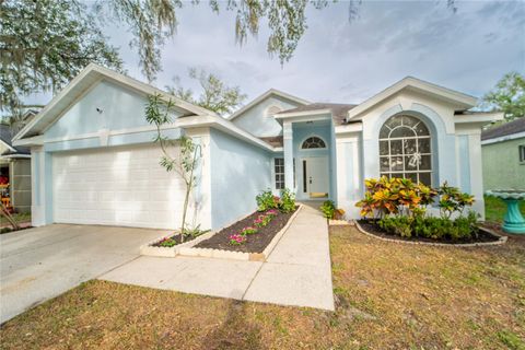 A home in VALRICO