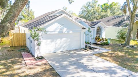 A home in VALRICO