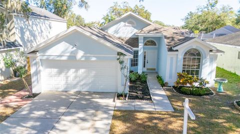 A home in VALRICO