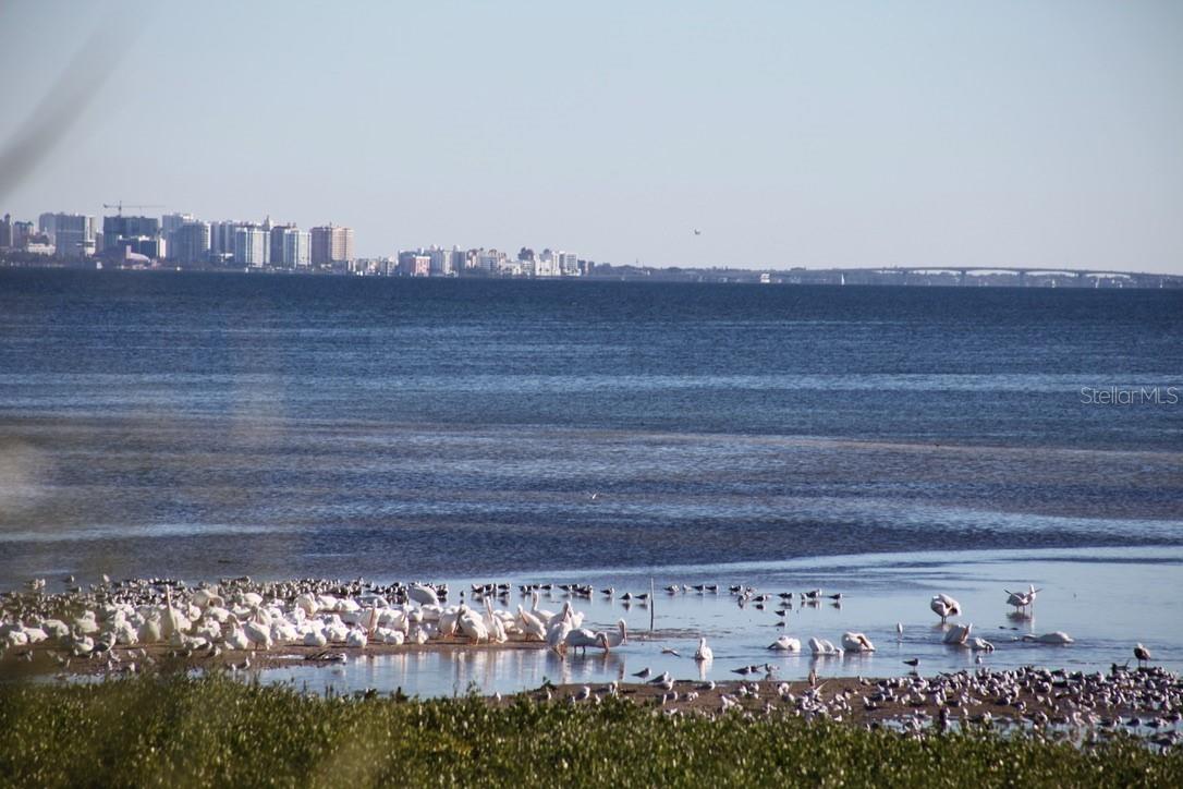 ESPLANADE ON THE BAY - Residential
