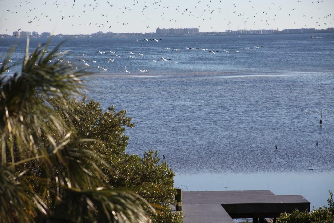 ESPLANADE ON THE BAY - Residential