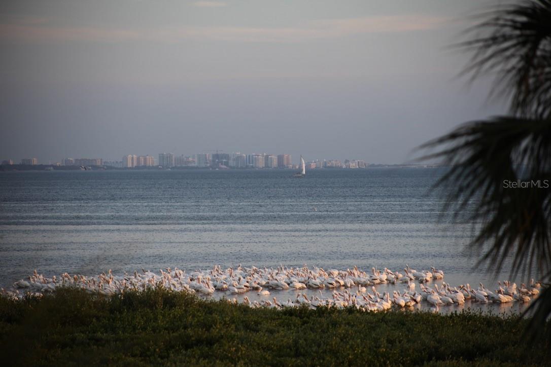 ESPLANADE ON THE BAY - Residential