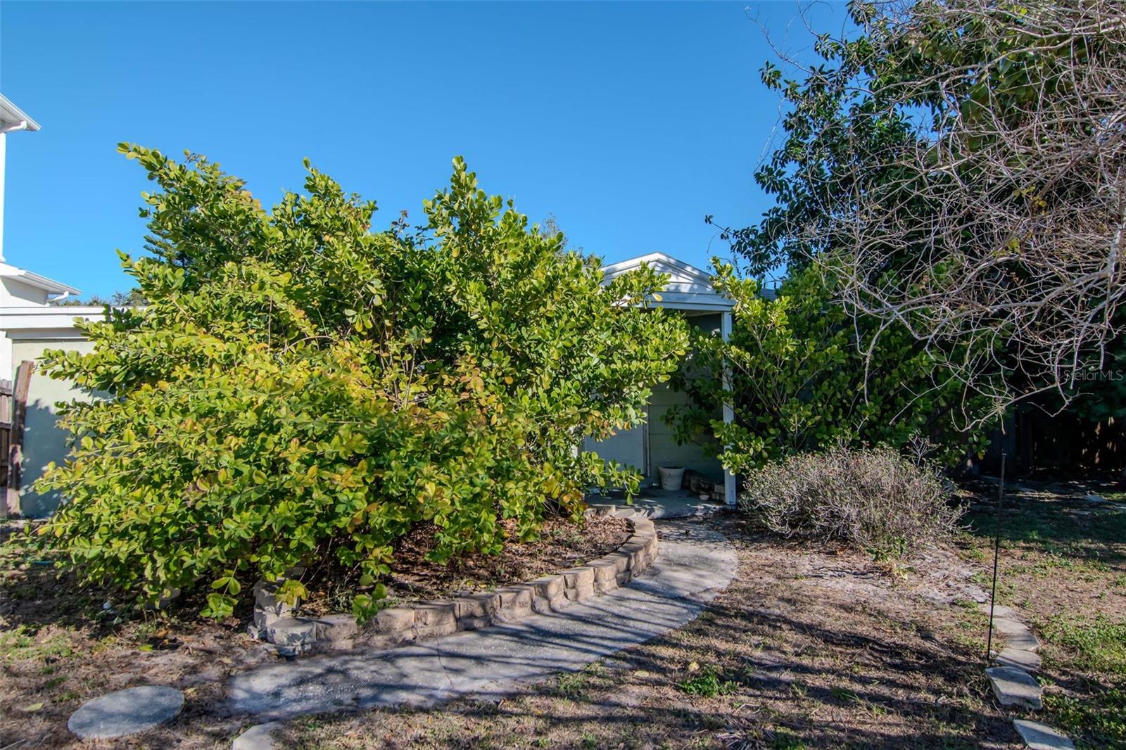 MEADOWLAWN - Residential