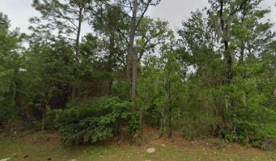 Great vacant lot to build your dream home!