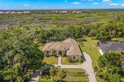 A home in TAMPA