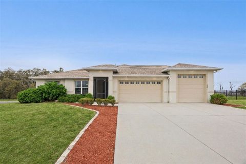 Photo of 735 Black Eagle Drive, Groveland, FL 34736 (MLS # O6387825)