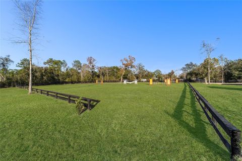 Tiny photo for 6491 SE 185th Terrace, Morriston, FL 32668 (MLS # OM714737)