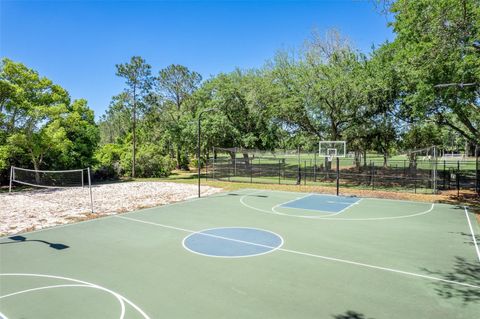 A home in TAMPA