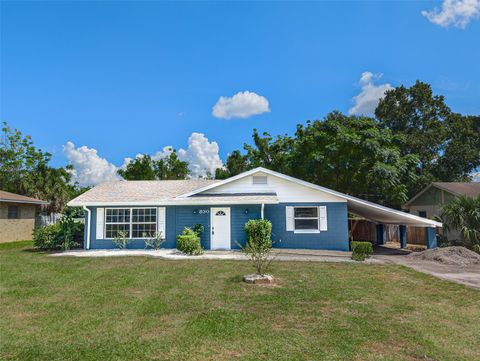 830 N SUNSET DRIVE MOUNT DORA FL 32757