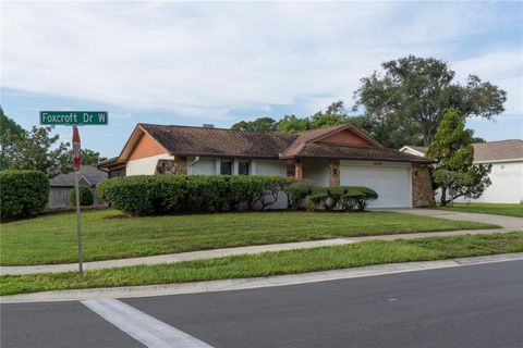 A home in PALM HARBOR