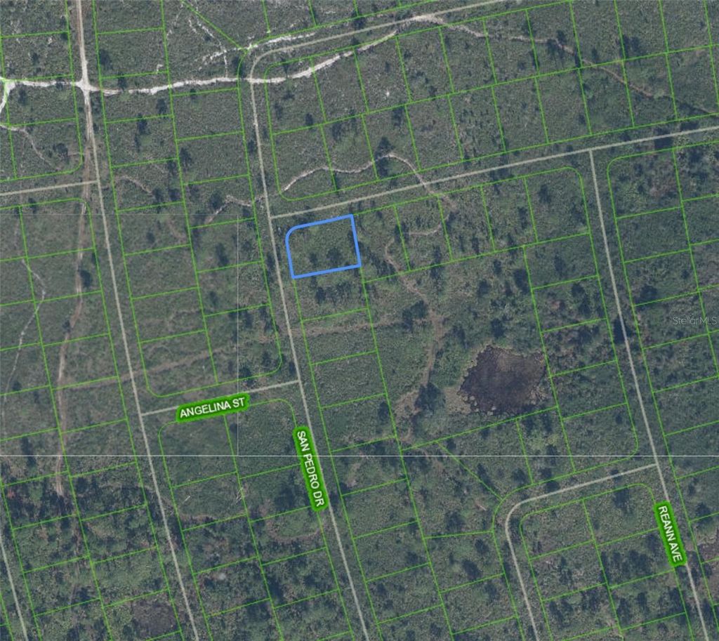 Photo of 4724 San Pedro Drive, Sebring, FL 33872 (MLS # P4938552)