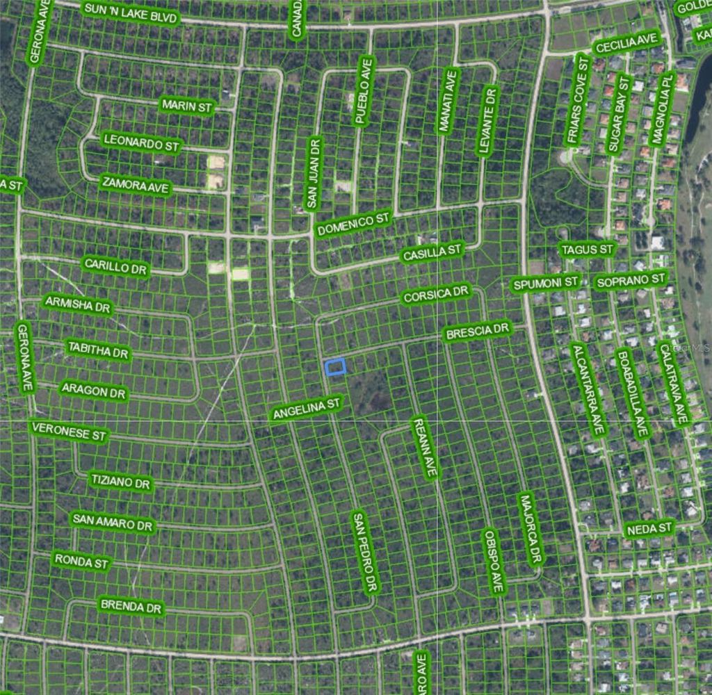 Photo of 4724 San Pedro Drive, Sebring, FL 33872 (MLS # P4938552)