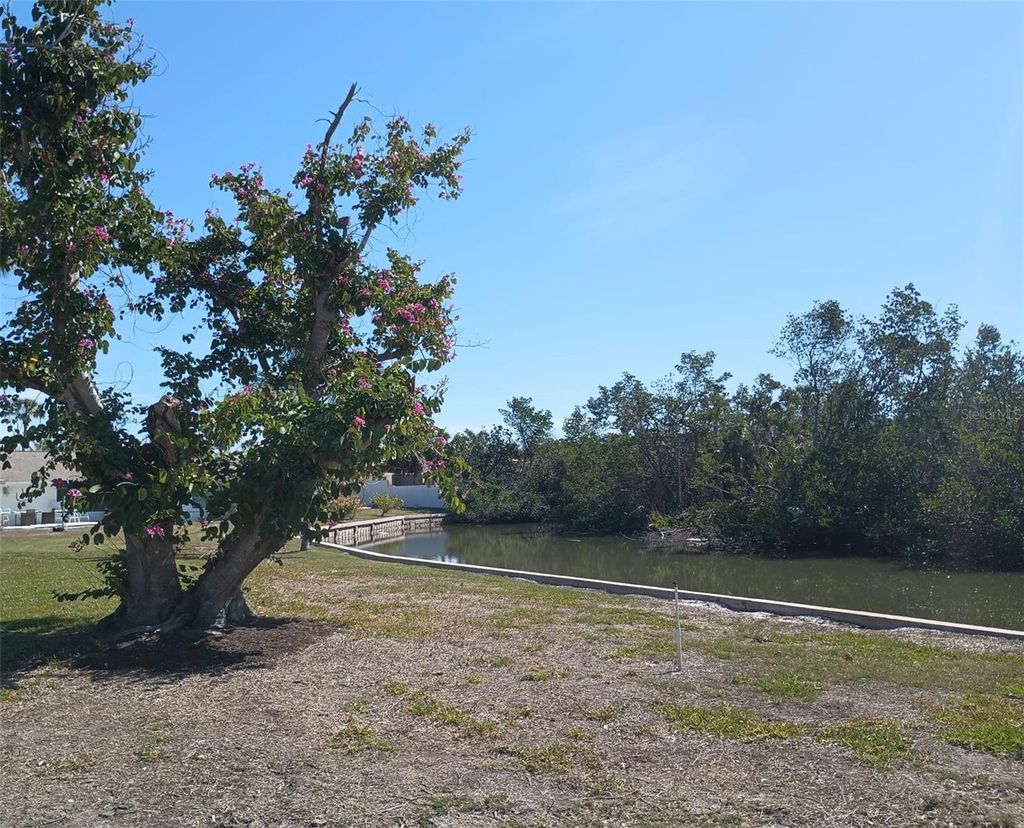 listing image 30