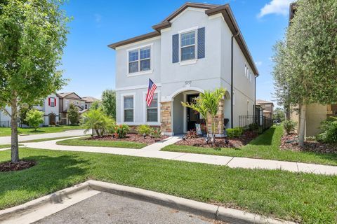 5717 VILLAGE CENTER DRIVE LITHIA FL 33547